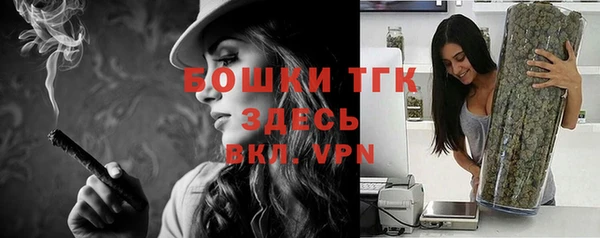 гашик Переславль-Залесский