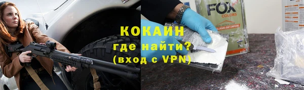 индика Покров