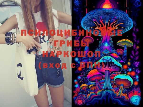 индика Покров