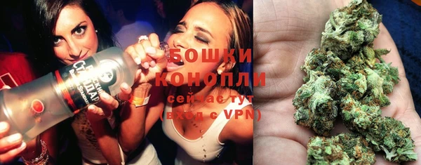 гашик Переславль-Залесский