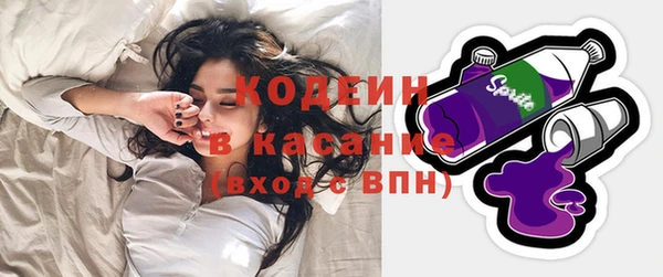 трава Пересвет