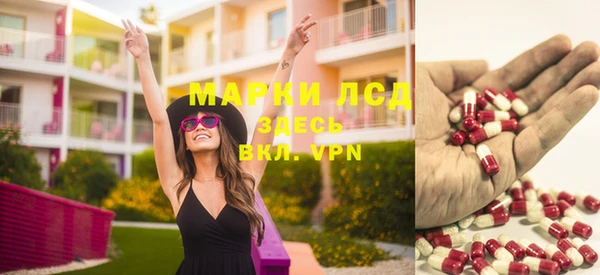 трава Пересвет