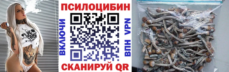 Псилоцибиновые грибы Cubensis  МЕГА зеркало  Княгинино 