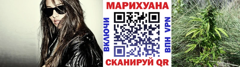 Каннабис семена  где купить   Княгинино 